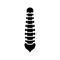 FizjoBalans